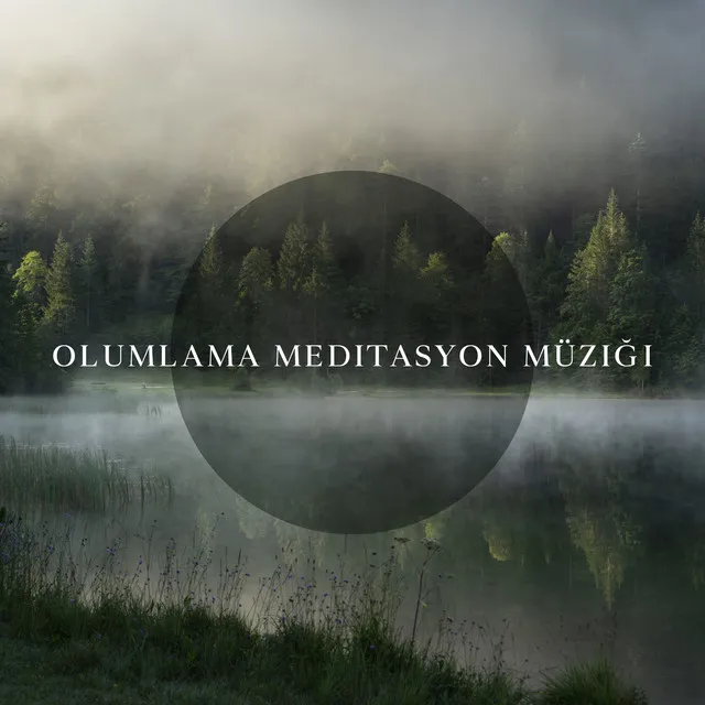 Olumlama Meditasyon Müziği: Gece Orman Ses Terapisi