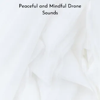 Peaceful and Mindful Drone Sounds by Source Vibrations