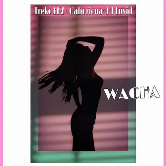 Wacha by Treko EKZ