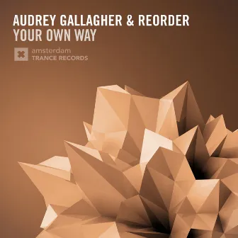 Your Own Way by Audrey Gallagher