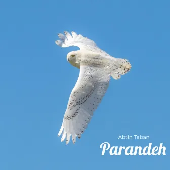 Parandeh by Abtin Taban