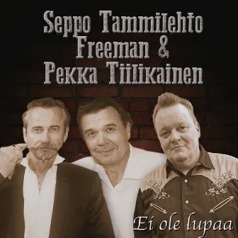 EI ole lupaa by Freeman