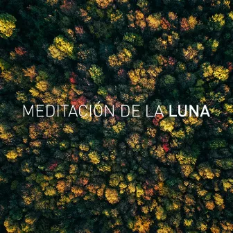 Remedy by Meditación De La Luna