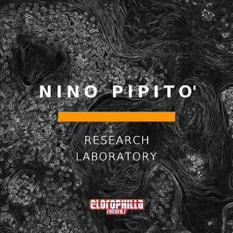 Research Laboratory by Nino Pipito'