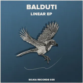 Linear by Balduti