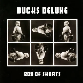 Box of Shorts by Ducks Deluxe