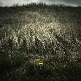 Night Of The Ankou by The North Sea