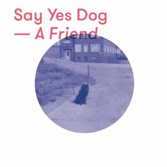 A Friend by Say Yes Dog