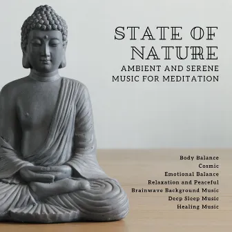 State Of Nature - Ambient And Serene Music For Meditation, Body Balance, Cosmic, Emotional Balance, Relaxation And Peaceful (Brainwave Background Music, Deep Sleep Music, Healing Music) by Buddha Meditation and Deep Dhayana Music