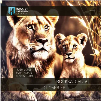 Closer (Fabri Lopez Remix) by Rockka