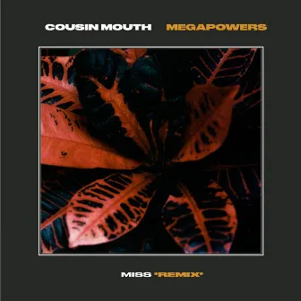 Miss (Mega Powers Remix) by Cousin Mouth