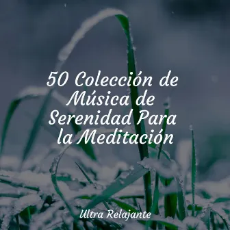 50 Colección de Música de Serenidad Para la Meditación by Jazz Para Crianças