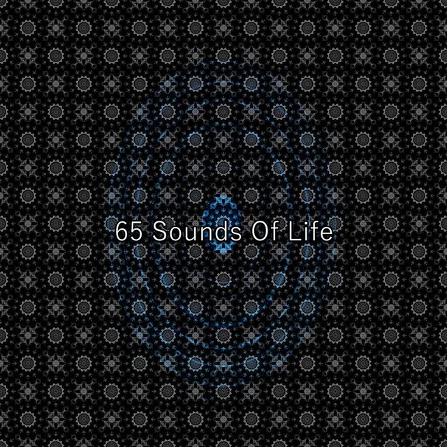 65 Sounds Of Life