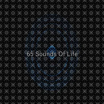 65 Sounds Of Life by Calming Spirit