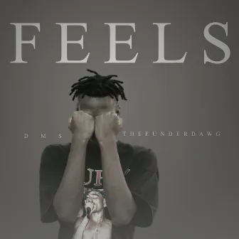 Feels by DMS THEEUNDERDAWG