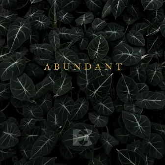 Abundant by Dont'e Carr