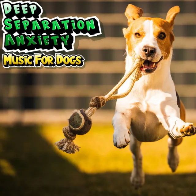 Dog Music For Deep Separation Anxiety - Playlist For Dogs