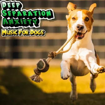 Dog Music For Deep Separation Anxiety - Playlist For Dogs by Dog Relaxation & Stress Relief