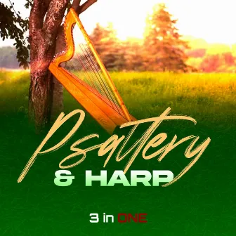 Psaltery & Harp by 3 in ONE