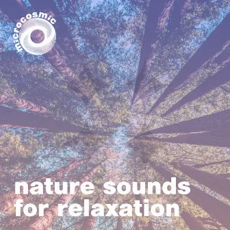 Nature Sounds For Relaxation by Jaco Prince