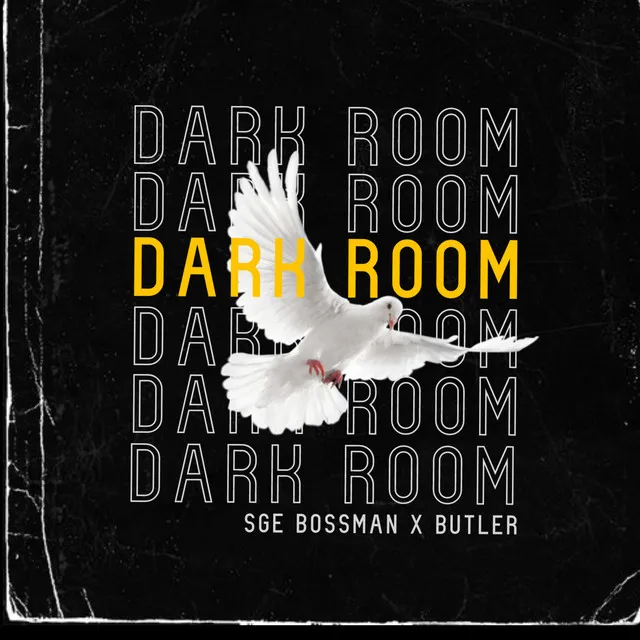 Dark Room