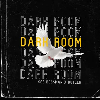 Dark Room by SGE BossMan