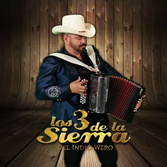 Arriba Nayarit by Los 3 de la Sierra Del Indio Wero