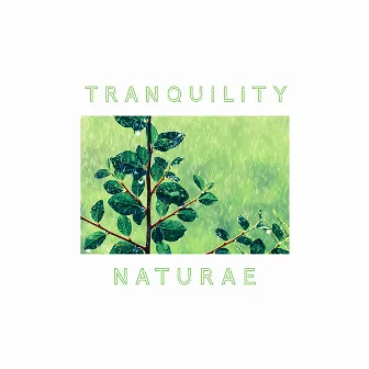 Tranquility by naturae