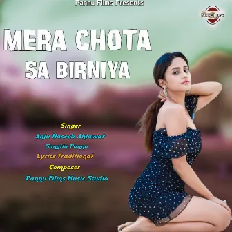 Mera Chota Sa Biriniya by Sangita Ahlawat