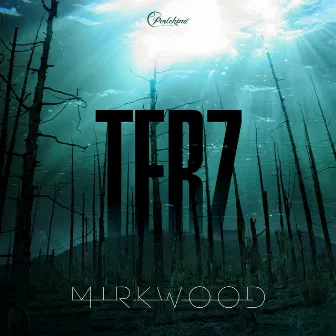 Mirkwood by TERZ