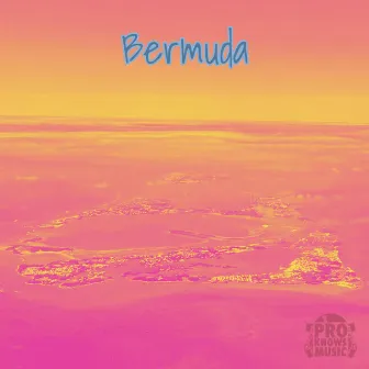 Bermuda by Pro Knows Music