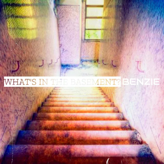 What's in the Basement?