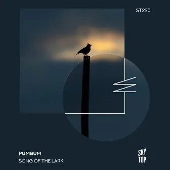 Song of the Lark by pumbum