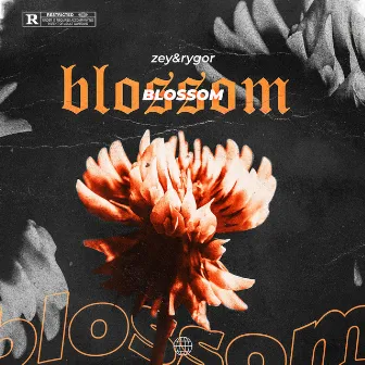 BLOSSOM by RYGOR