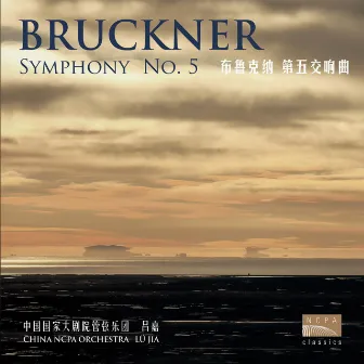 布鲁克纳：第五交响曲（Bruckner: Symphony No.5） by Unknown Artist