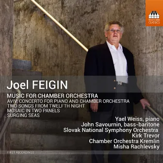 Joel Feigin: Music for Chamber Orchestra by Joel Feigin