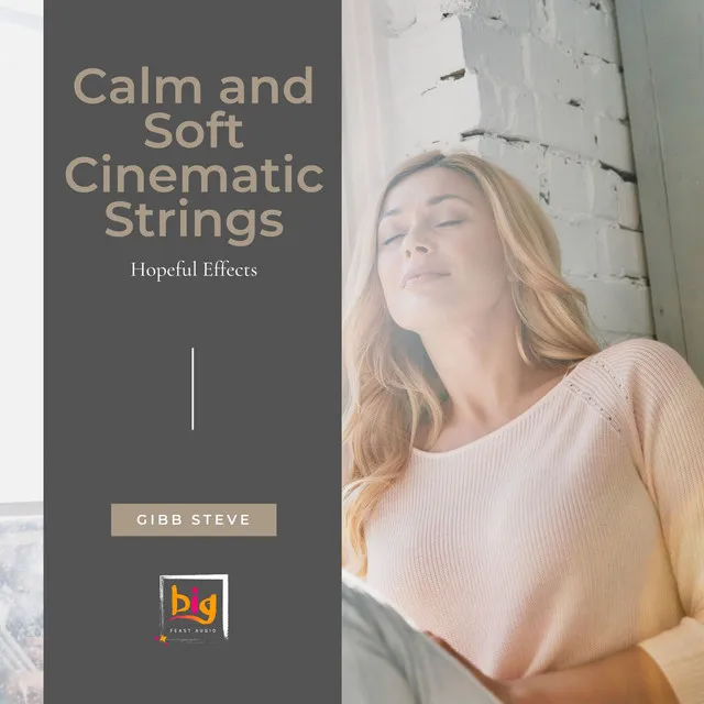 Calm And Soft Cinematic Strings (Hopeful Effects)