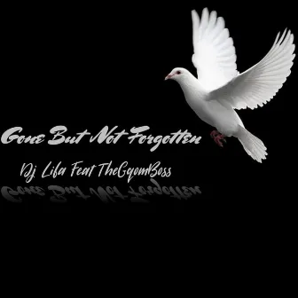 Gone but Not Forgotten by Dj Lifa