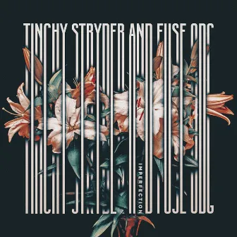 Imperfection by Tinchy Stryder