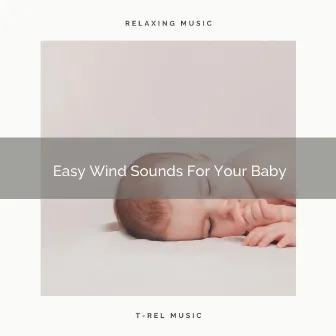 Easy Wind Sounds For Your Baby by Ruido Blanco