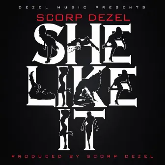 She Like It by Scorp Dezel