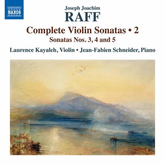 Violin Sonata No. 3 in D Major, Op. 128: III. Andante quasi larghetto