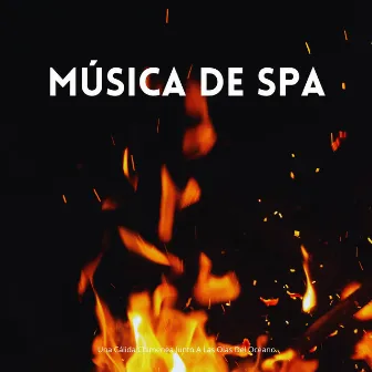 Música De Spa: Una Cálida Chimenea Junto A Las Olas Del Océano by Música y sonidos de spa