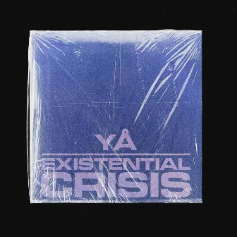 Existential Crisis by YÅ