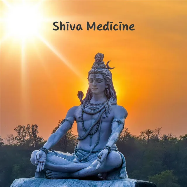 Shiva Medicine