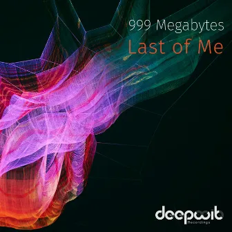 999 Megabytes by Catalin Leca