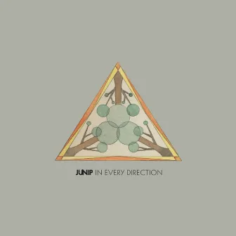 In Every Direction by Junip