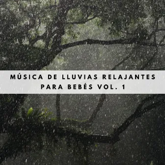 Música De Lluvias Relajantes Para Bebés Vol. 1 by Sonidos De Lluvia