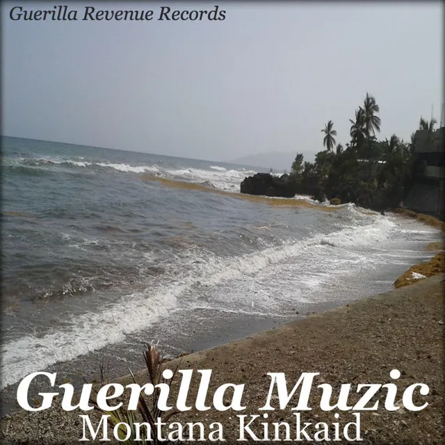 Guerilla Muzic