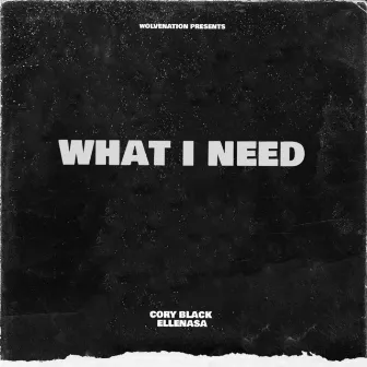 WHAT I NEED (Radio Edit) by Unknown Artist